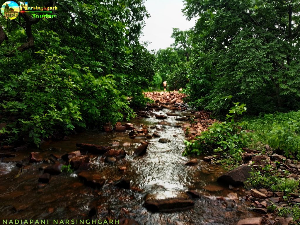 Trek to Panchkund