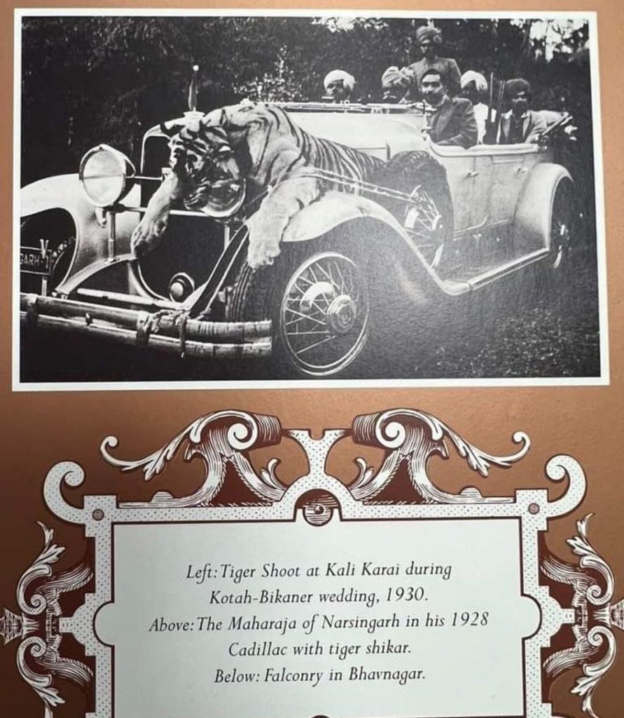 RAJA CAR