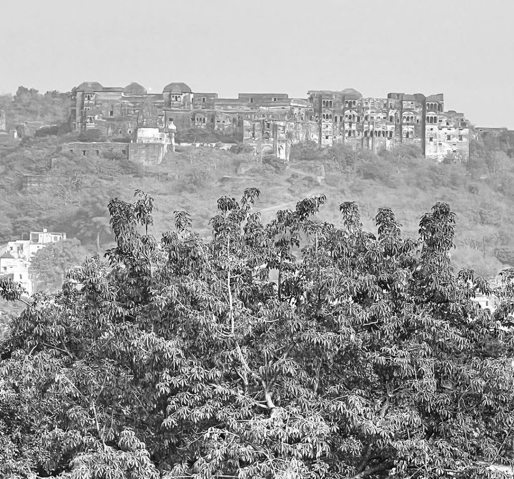 Narsinghgarh Fort old Image