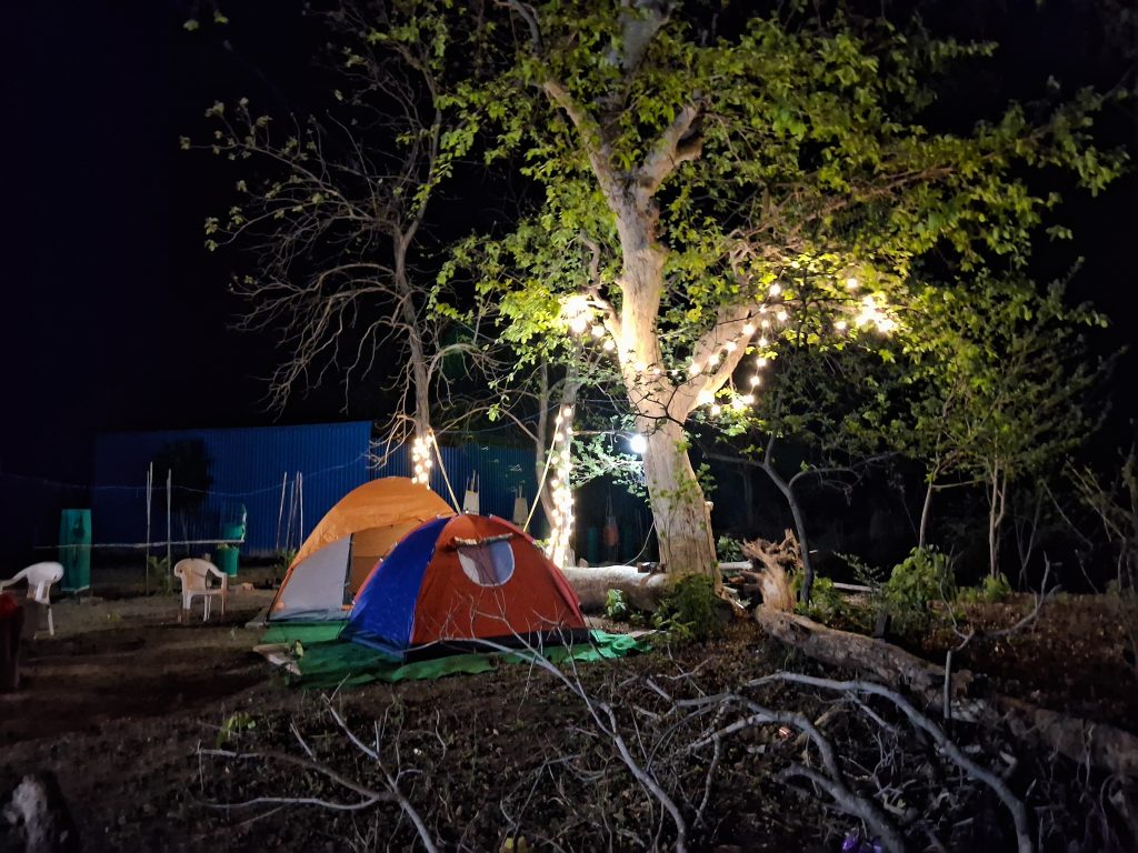 Jungle Camping