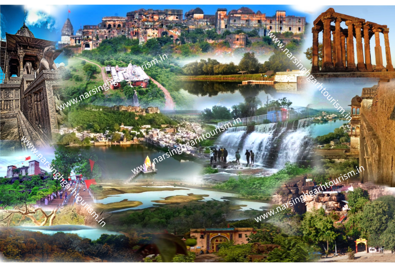 Narsinghgarh Tourism Collage